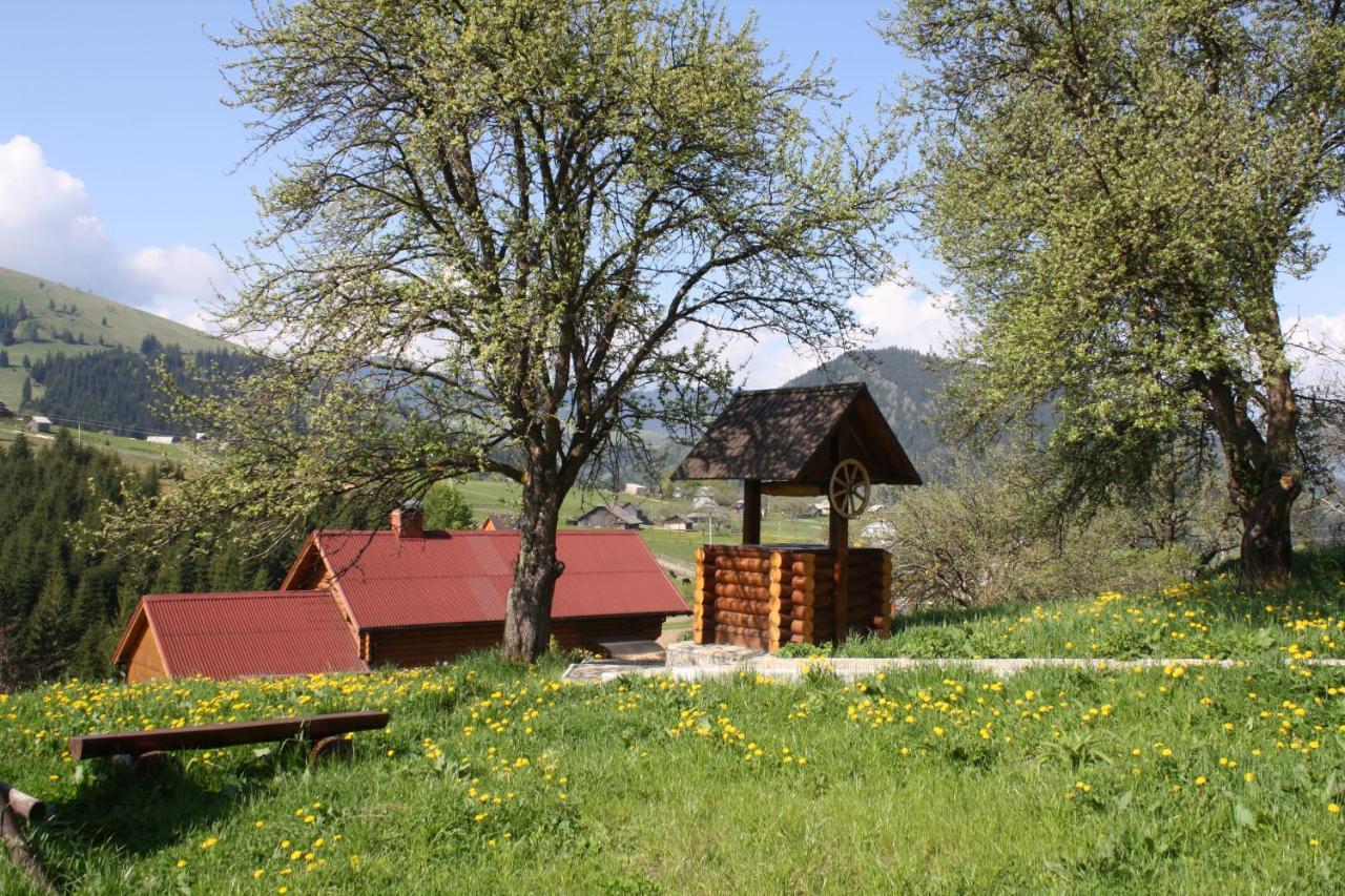 Polonyna Villa Verhovîna Exterior foto