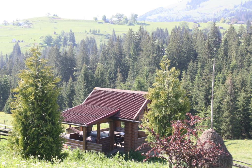 Polonyna Villa Verhovîna Exterior foto