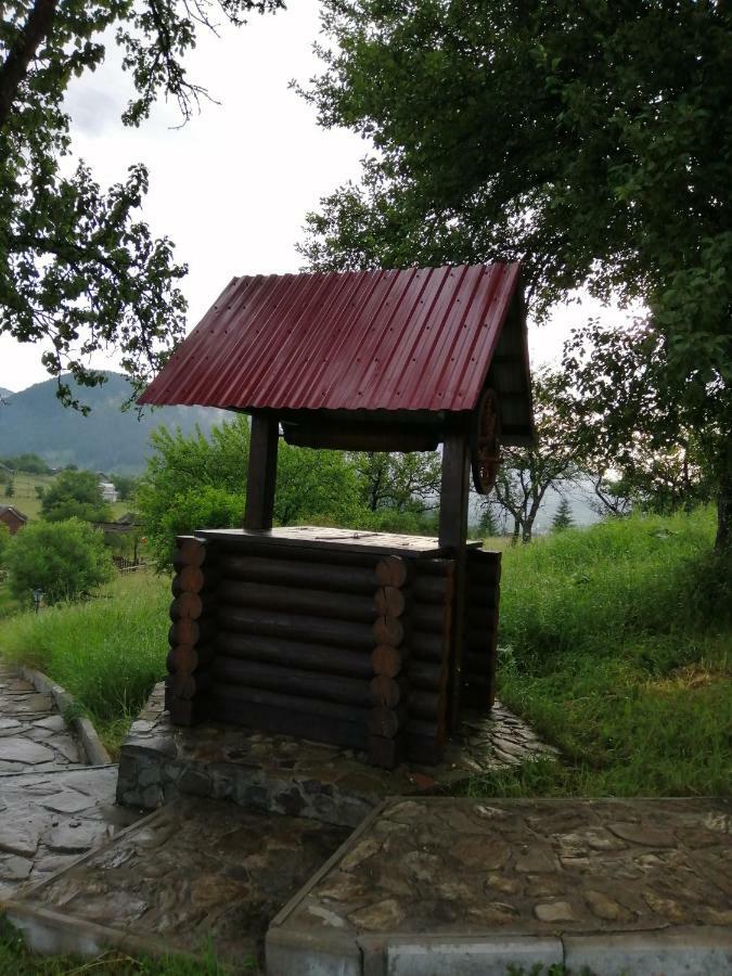 Polonyna Villa Verhovîna Exterior foto